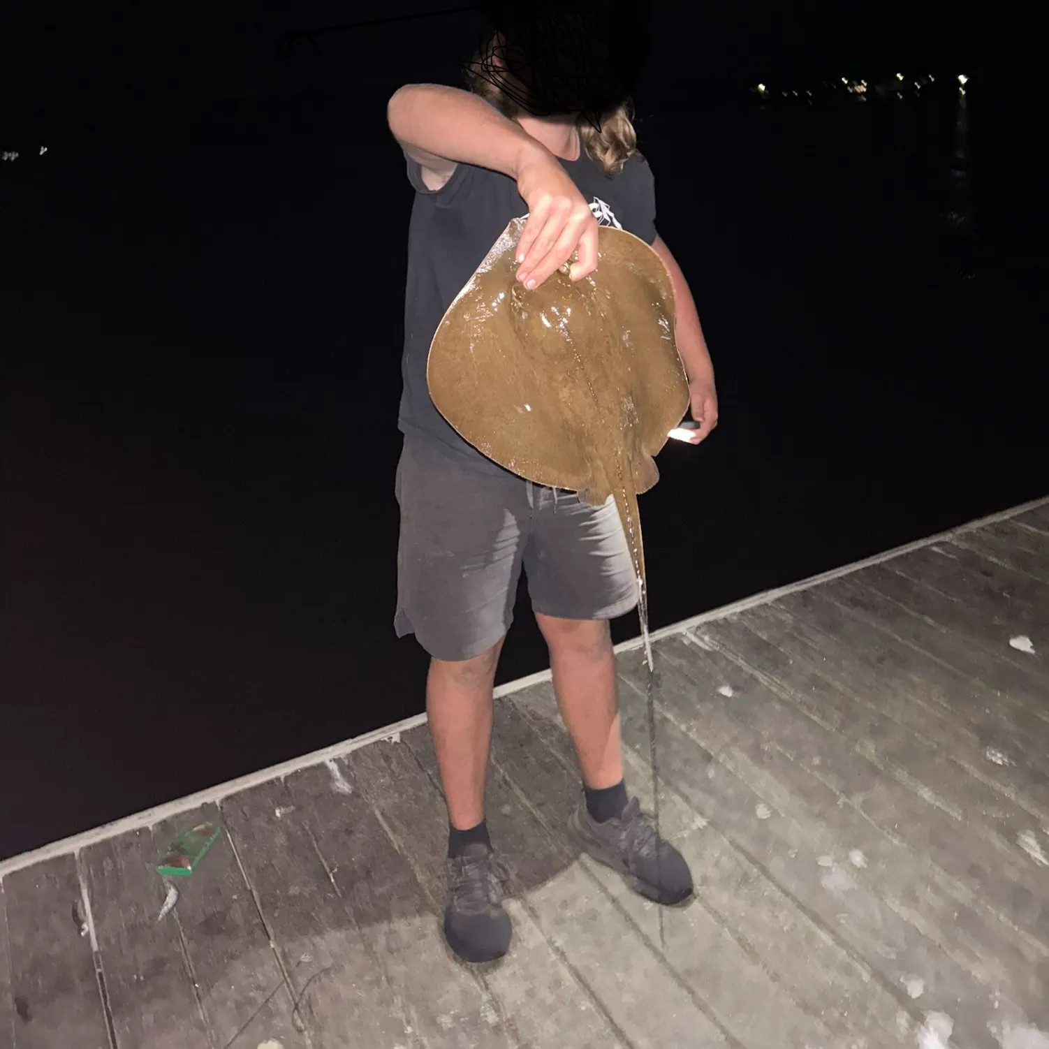The most recent Common stingaree catches on Fishbrain