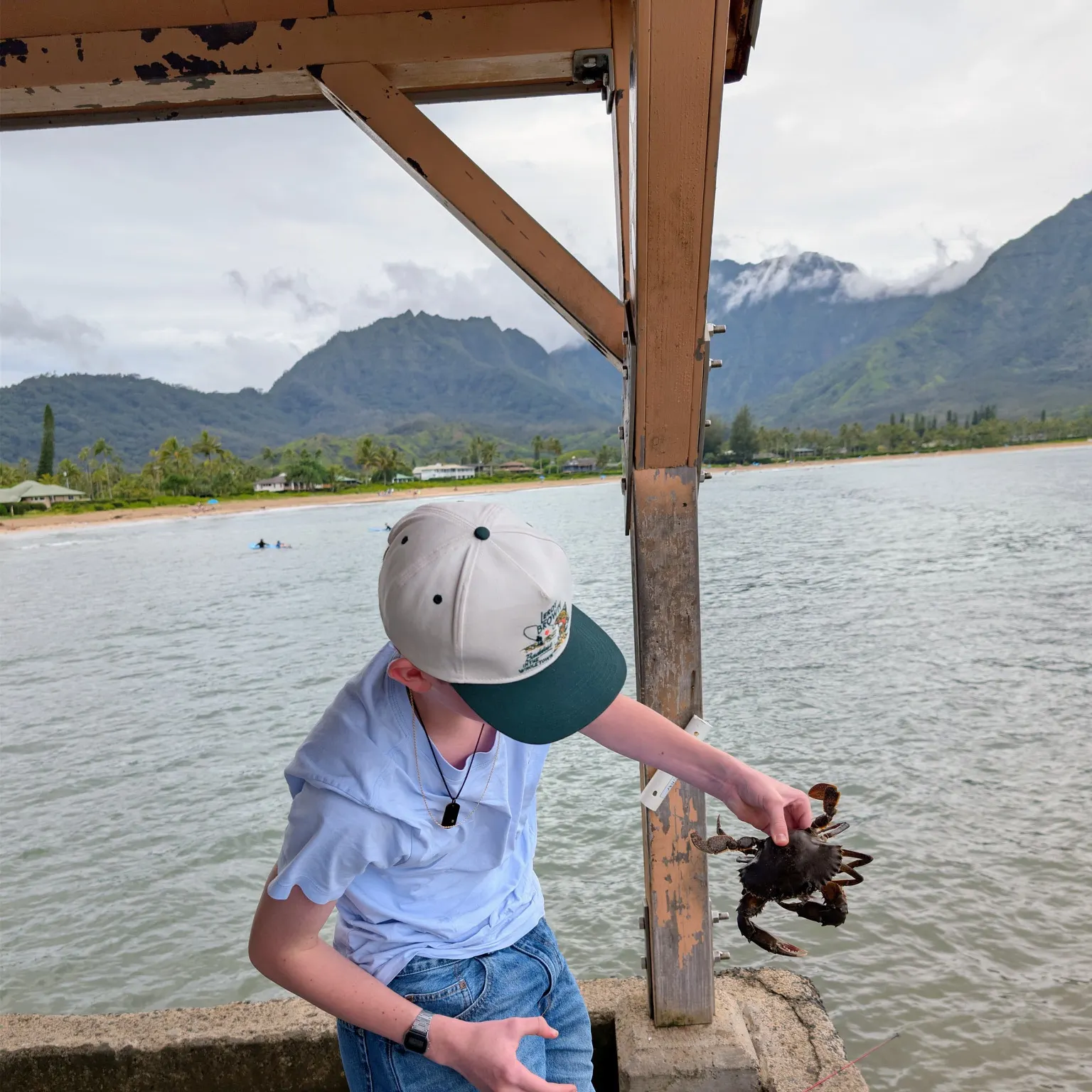 The most recent Giant mud crab catches on Fishbrain