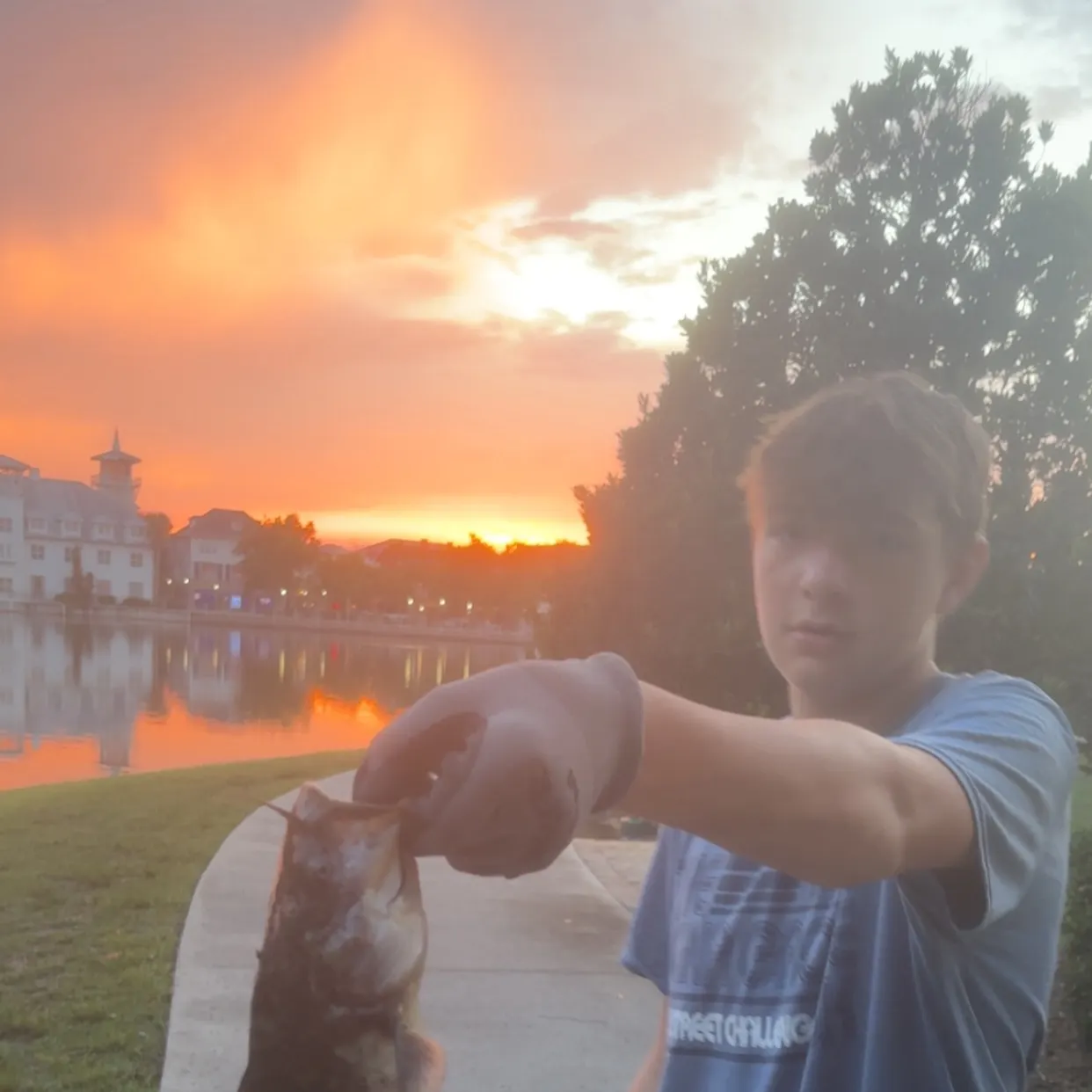 The most recent Brown bullhead catches on Fishbrain