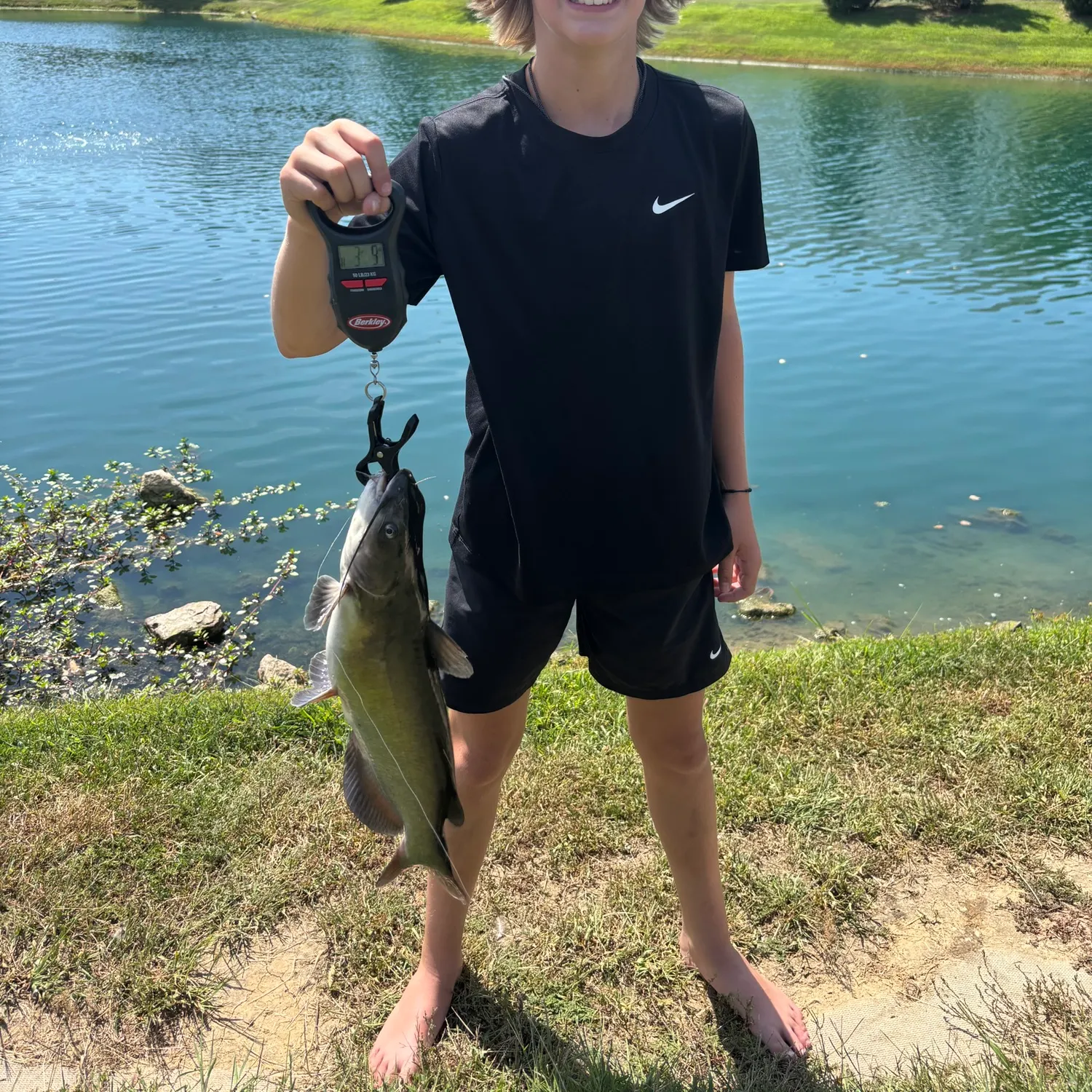 Channel catfish caught on Fishbrain
