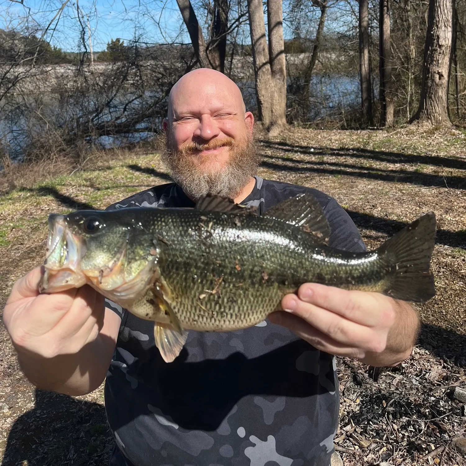 The most recent Alabama bass catches on Fishbrain