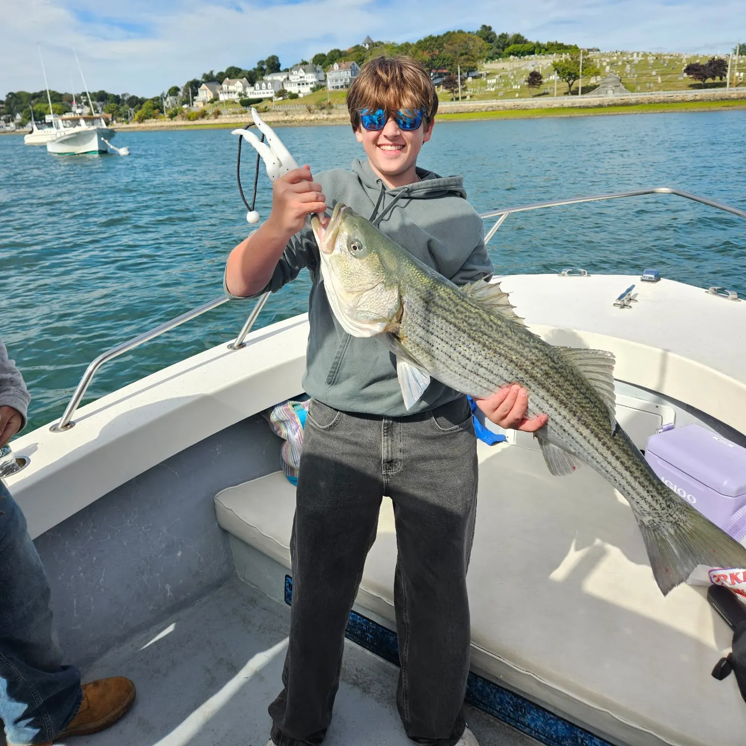 Striped bass caught on Fishbrain
