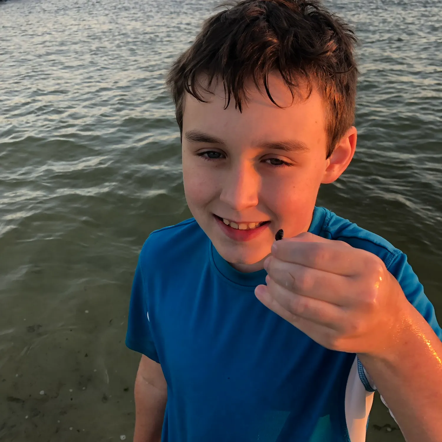 The most recent Stargazing minnow catches on Fishbrain