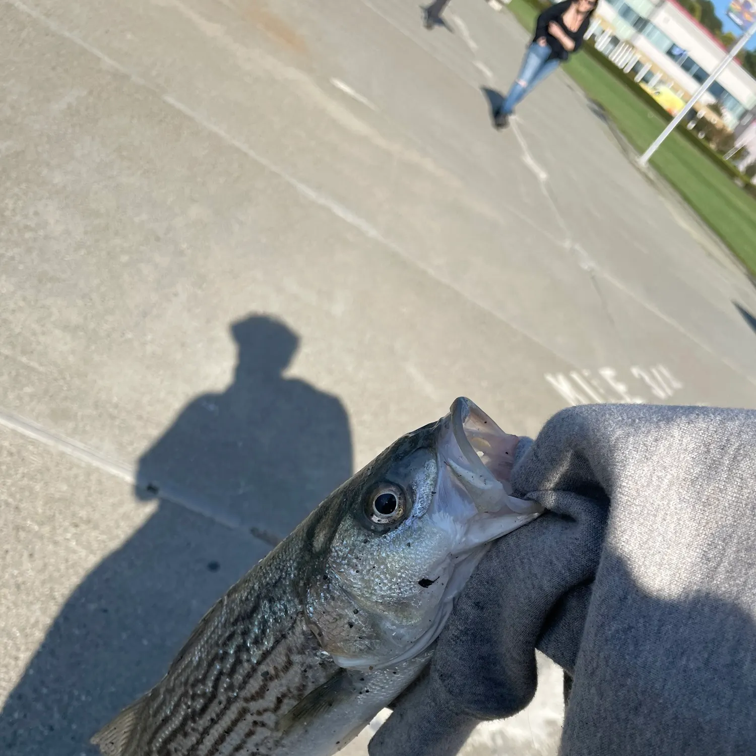 catch