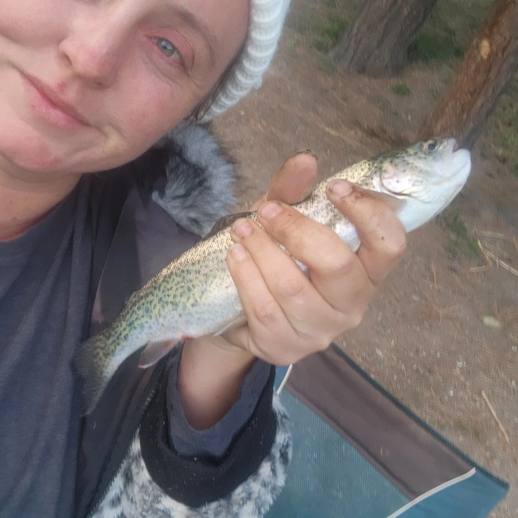 Rainbow trout caught on Fishbrain