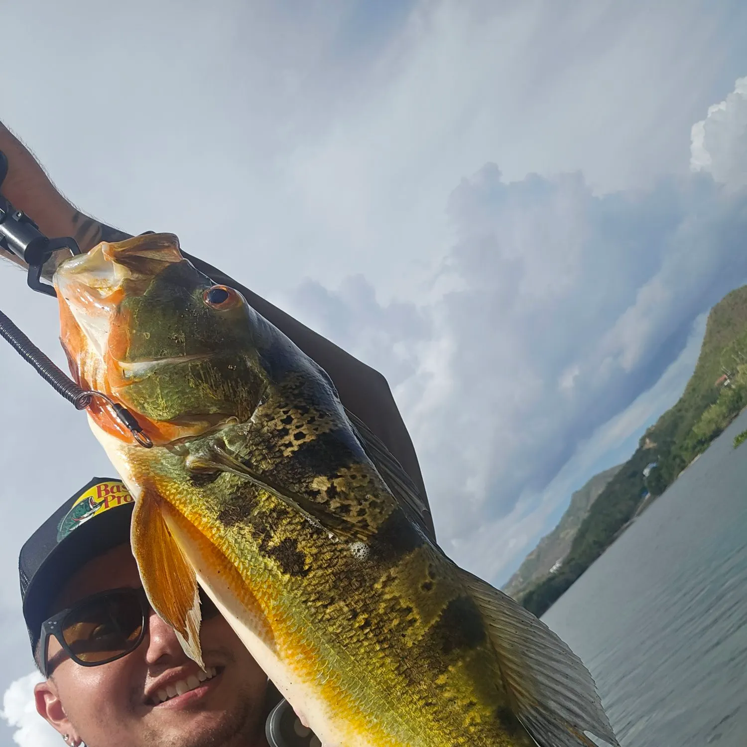 The most recent Butterfly peacock bass catches on Fishbrain