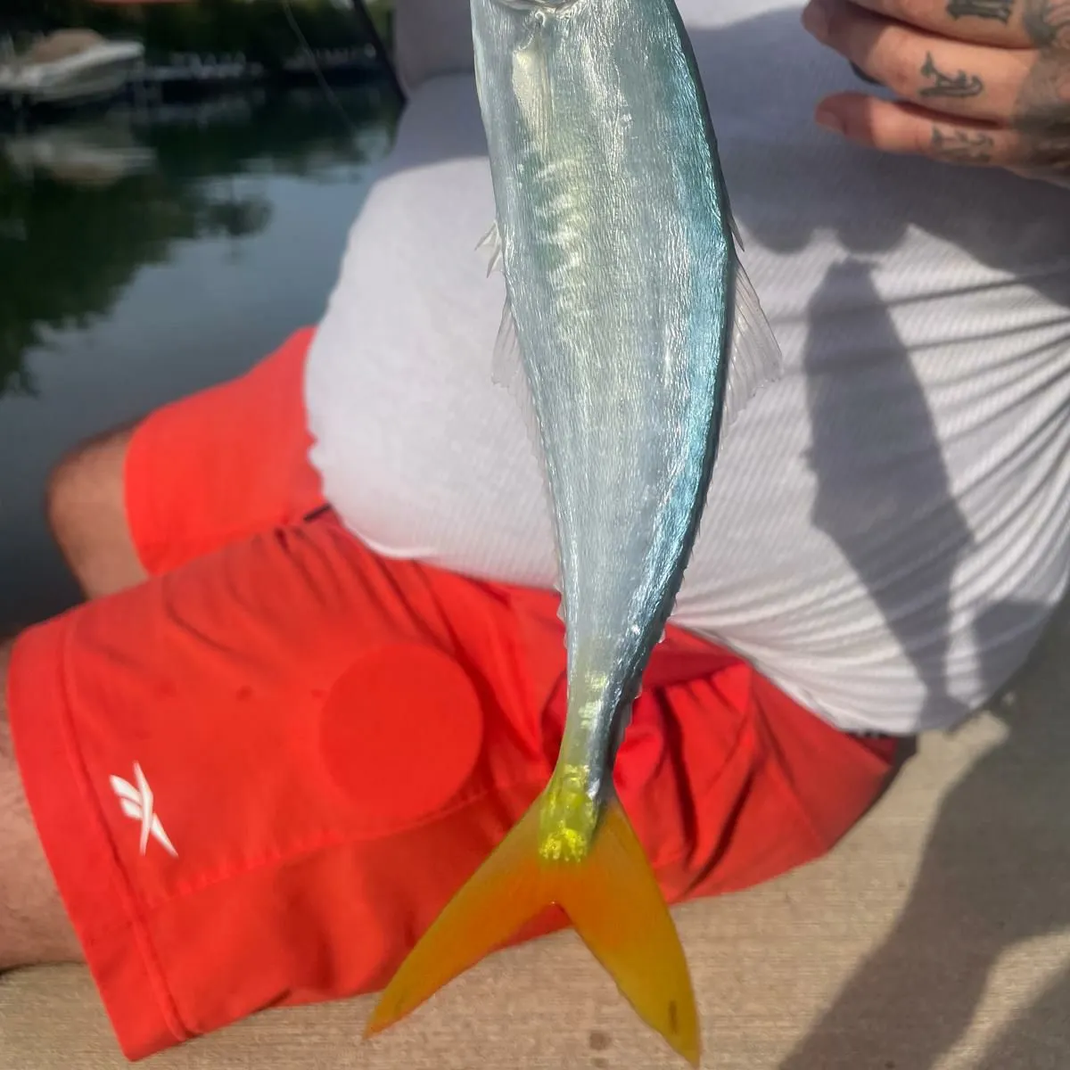 The most popular recent Leatherjack catch on Fishbrain