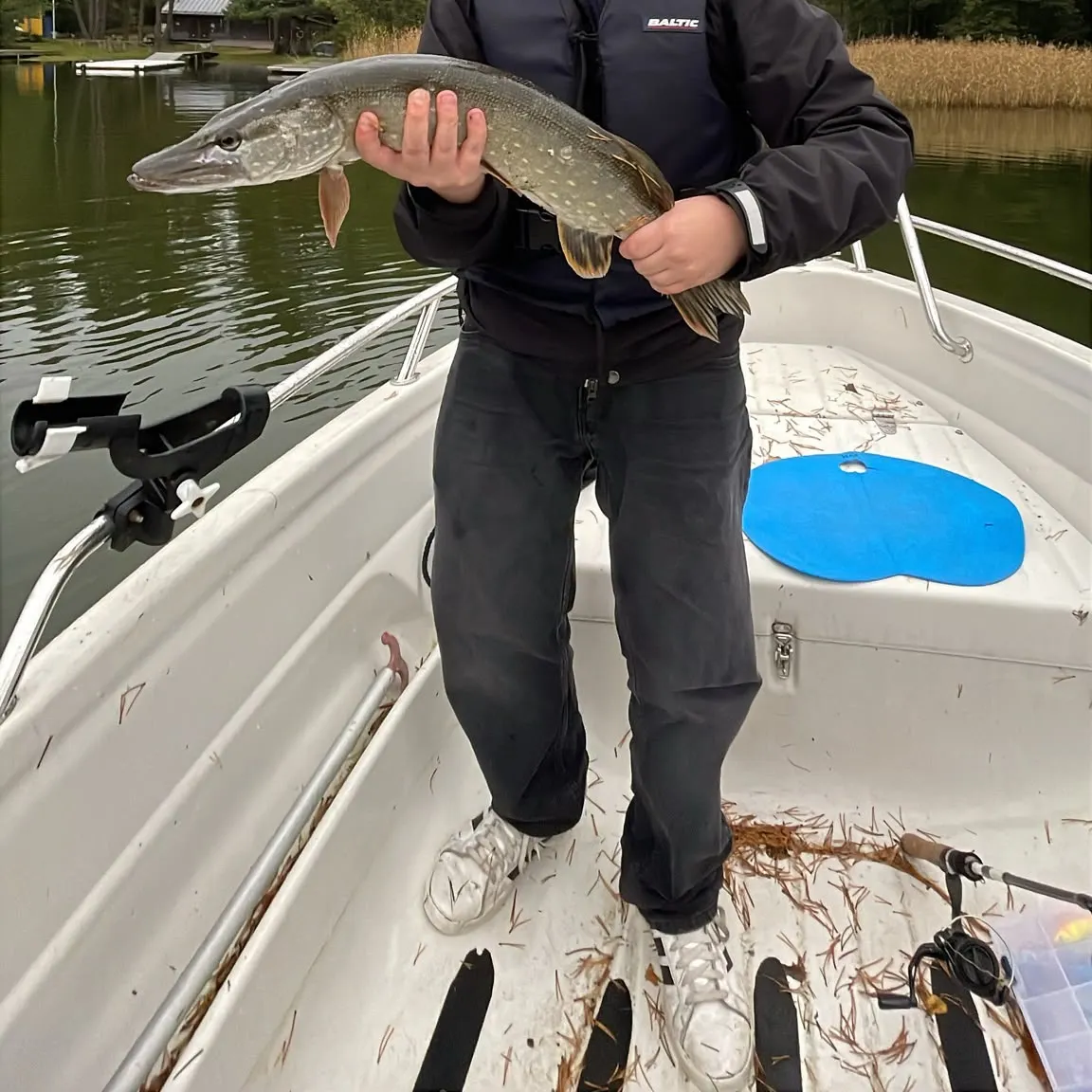 Northern pike caught on Fishbrain