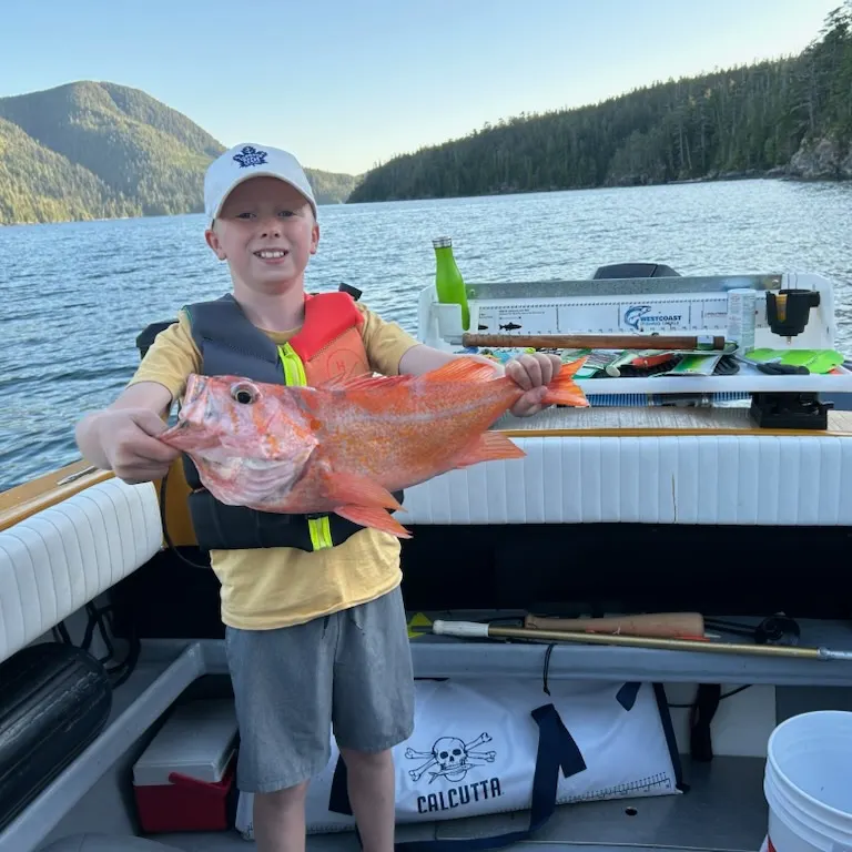 Vermilion rockfish caught on Fishbrain