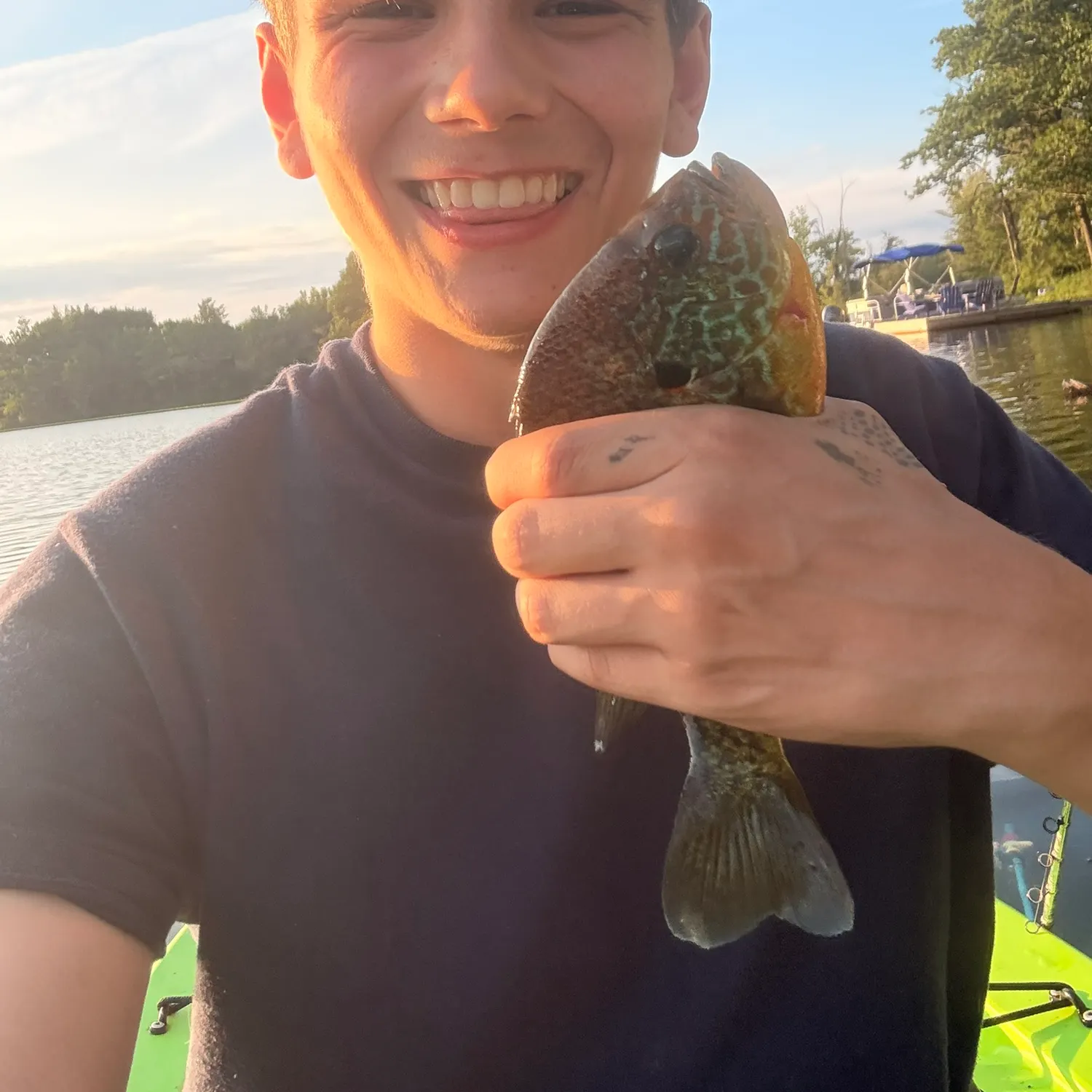 Bluegill caught on Fishbrain