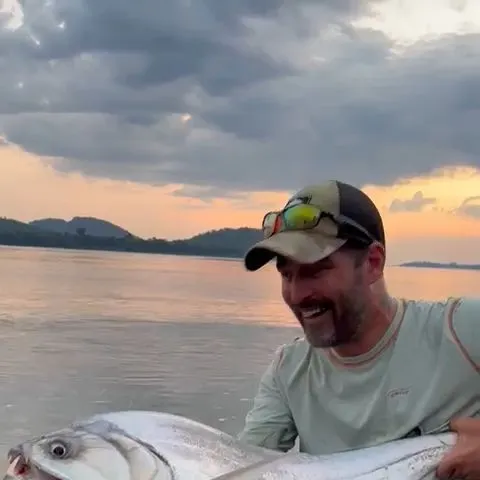 The most recent Vampire fish catches on Fishbrain