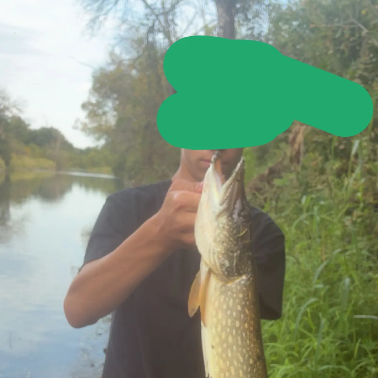 Northern pike caught on Fishbrain