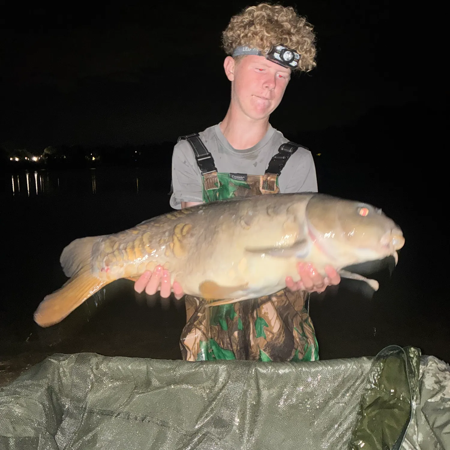 Mirror carp caught on Fishbrain