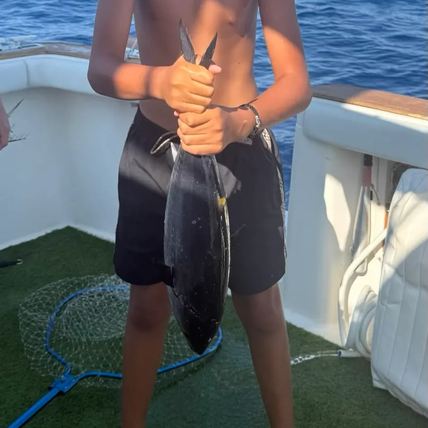 The most recent Atlantic bluefin tuna catches on Fishbrain