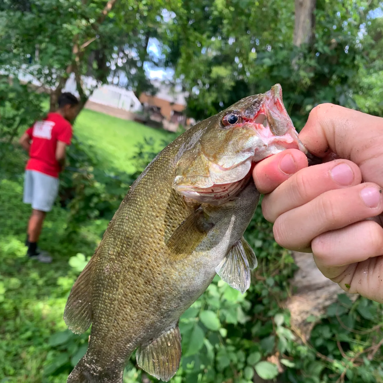 catch