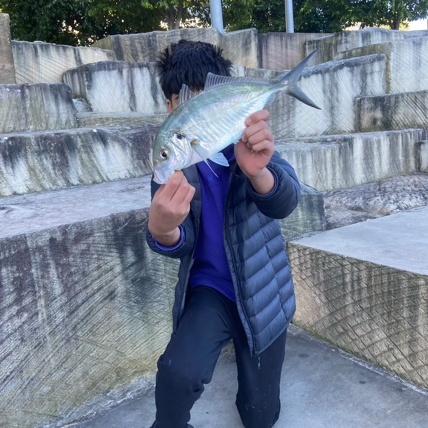 The most recent White trevally catches on Fishbrain