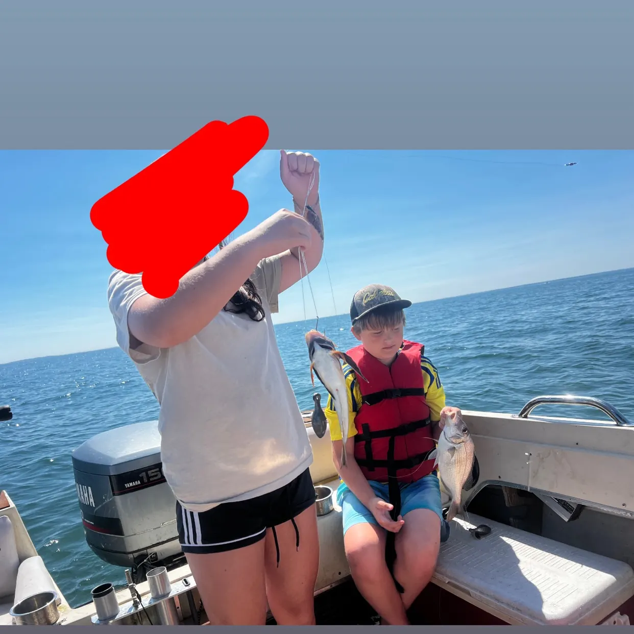 The most recent Atlantic porkfish catches on Fishbrain