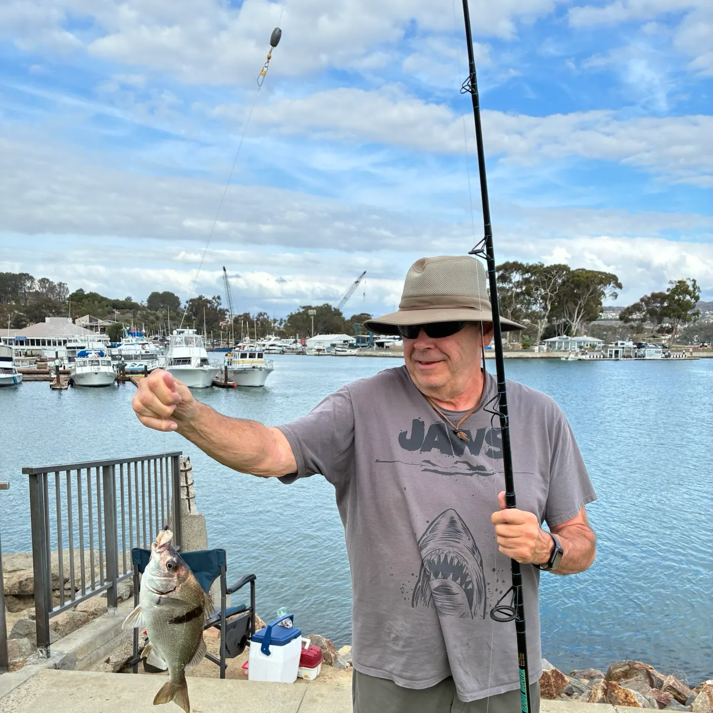The most recent Sargo catches on Fishbrain