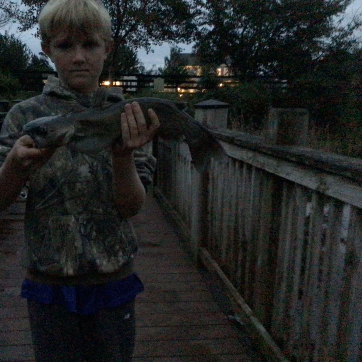Channel catfish caught on Fishbrain