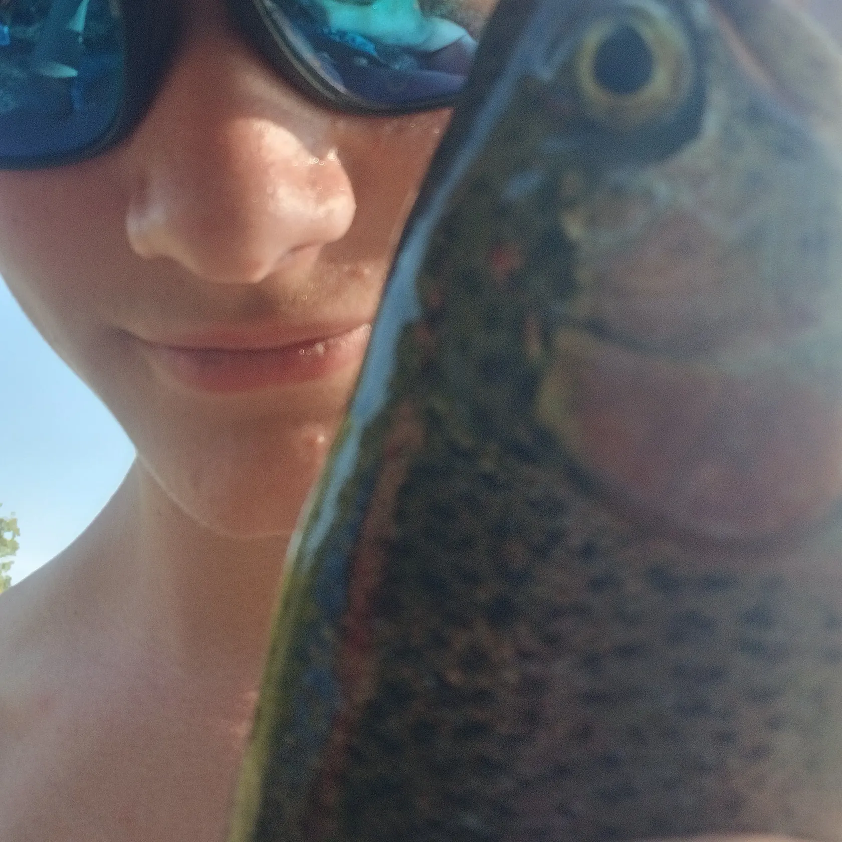 Rainbow trout caught on Fishbrain