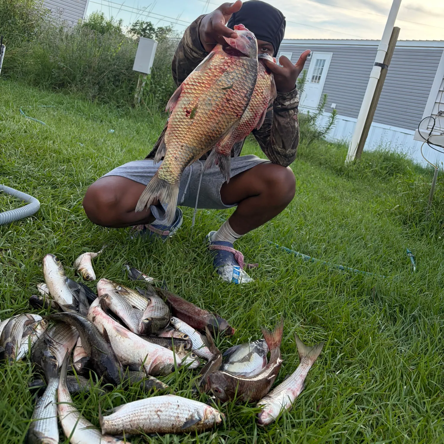 The most recent Smallmouth buffalo catches on Fishbrain