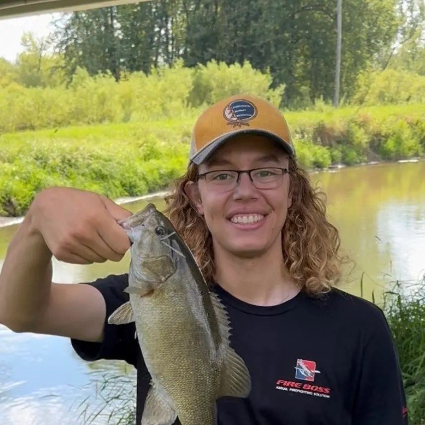 Smallmouth bass caught on Fishbrain