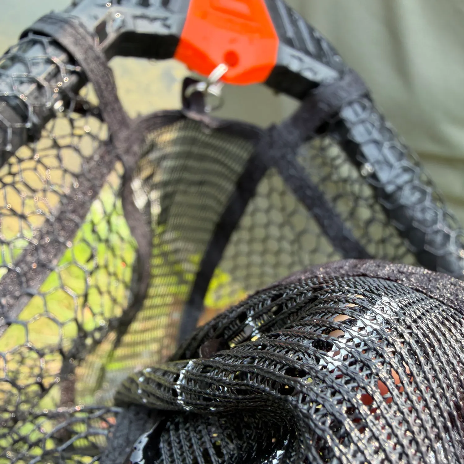 The most recent Broadhead catfish catches on Fishbrain