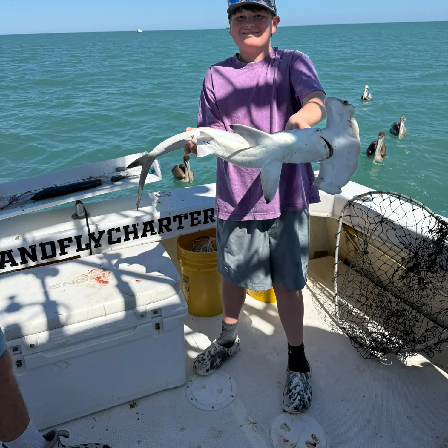 The most recent Smooth hammerhead shark catches on Fishbrain