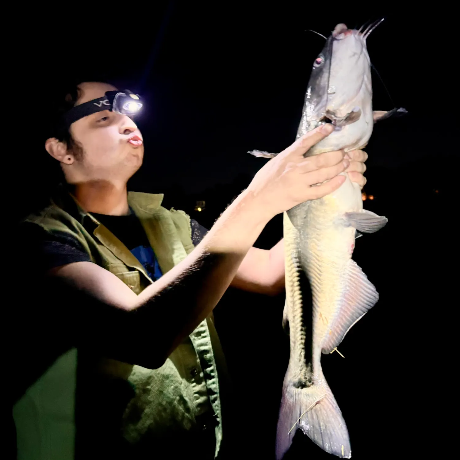 The most recent Blue catfish catches on Fishbrain