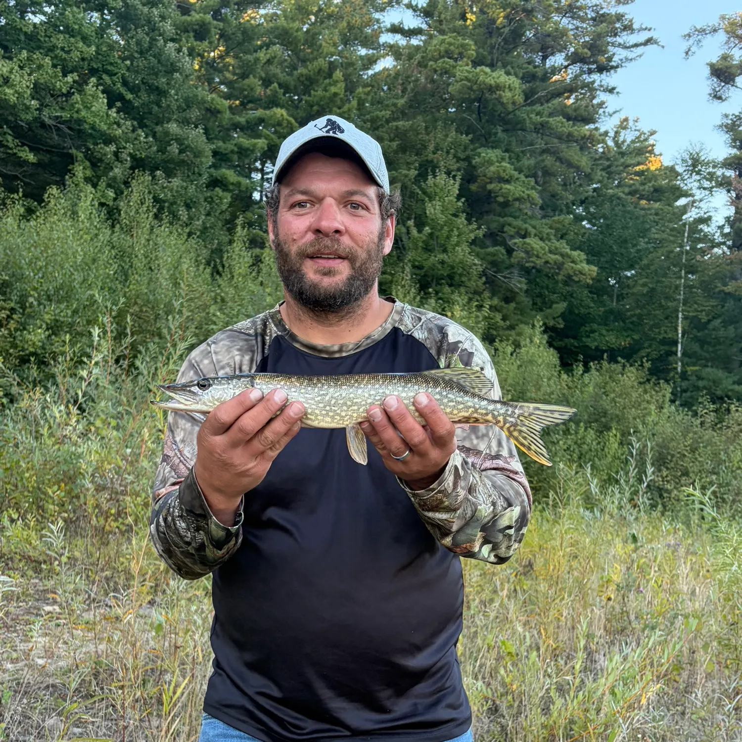 Northern pike caught on Fishbrain