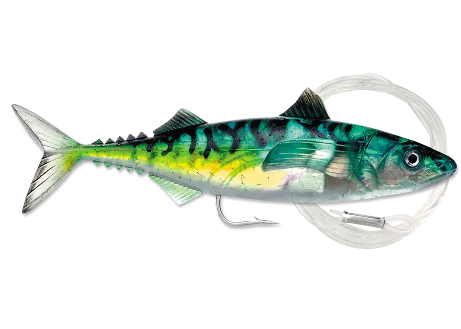 Live Mackerel