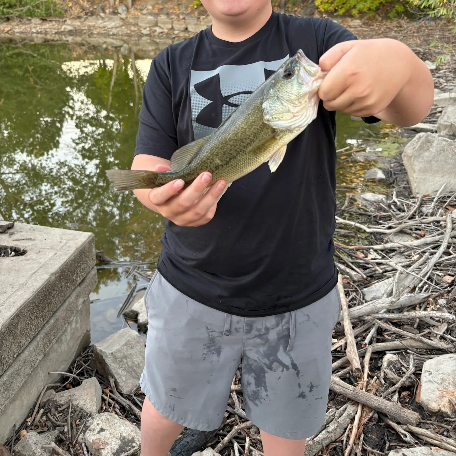Largemouth bass caught on Fishbrain
