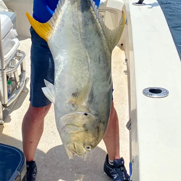 Crevalle jack caught on Fishbrain