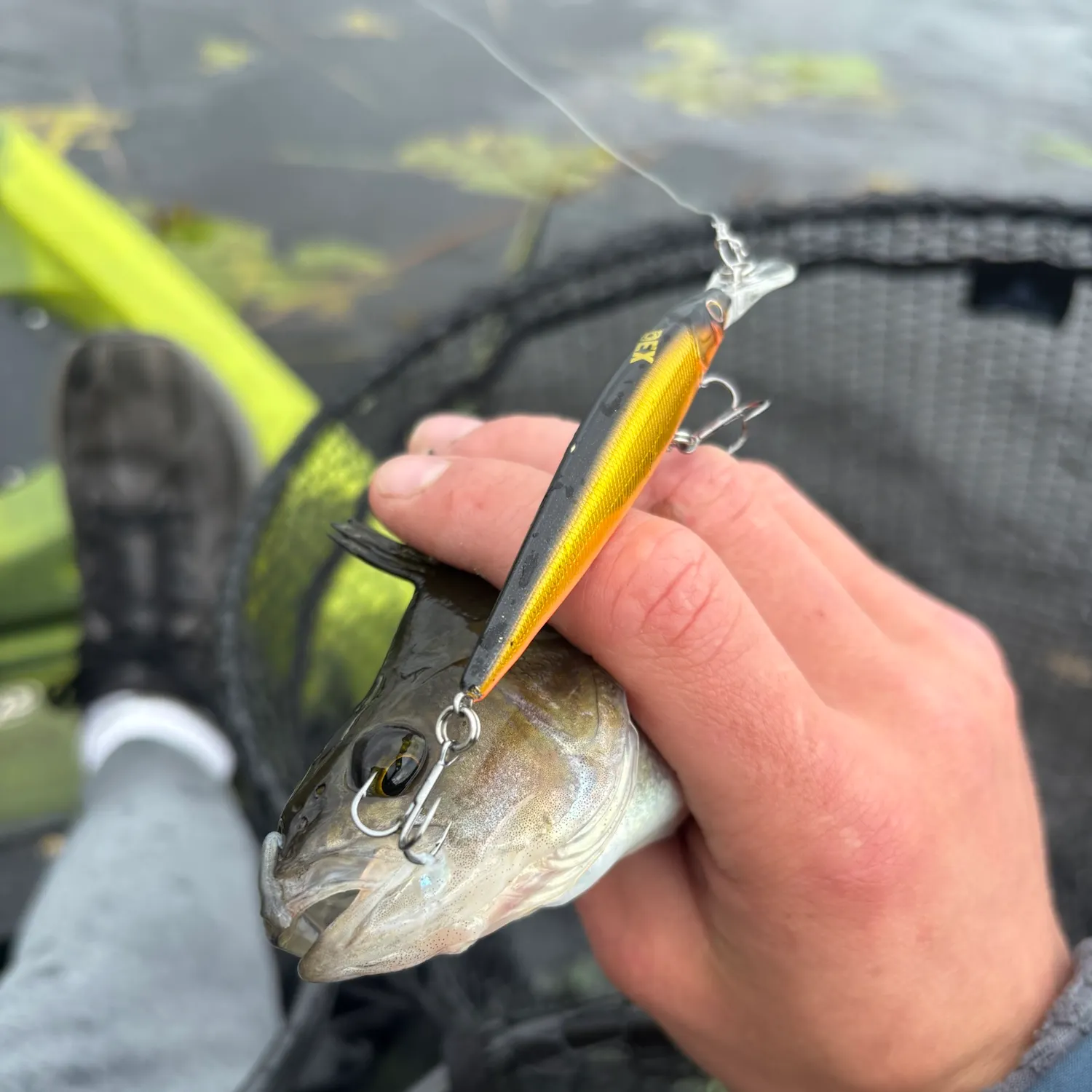 catch