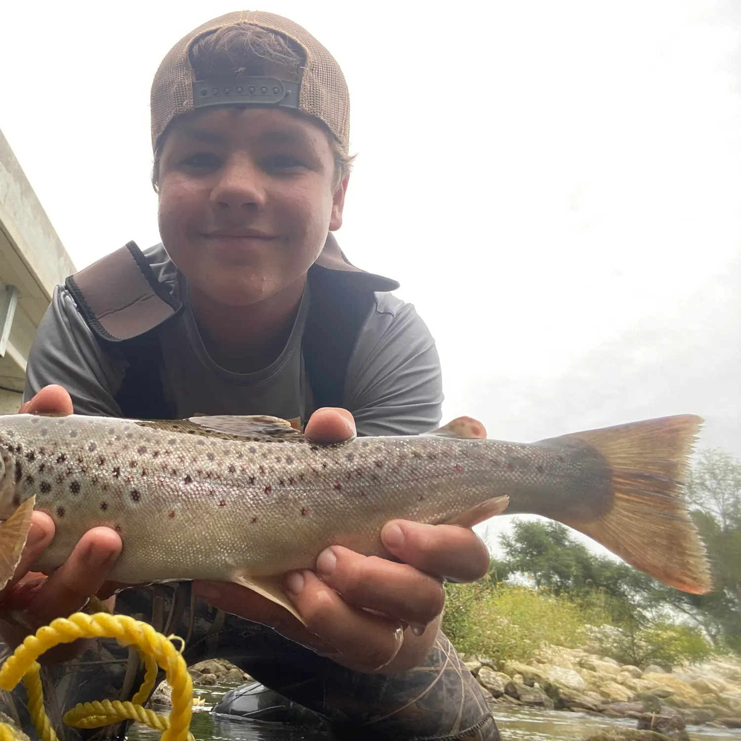 Brown trout caught on Fishbrain