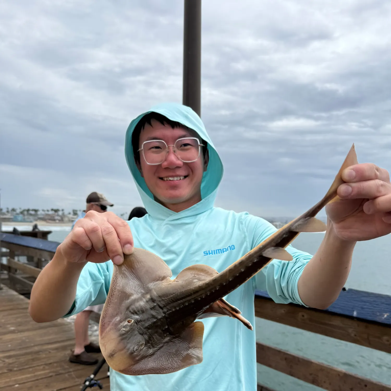 Thornback guitarfish caught on Fishbrain