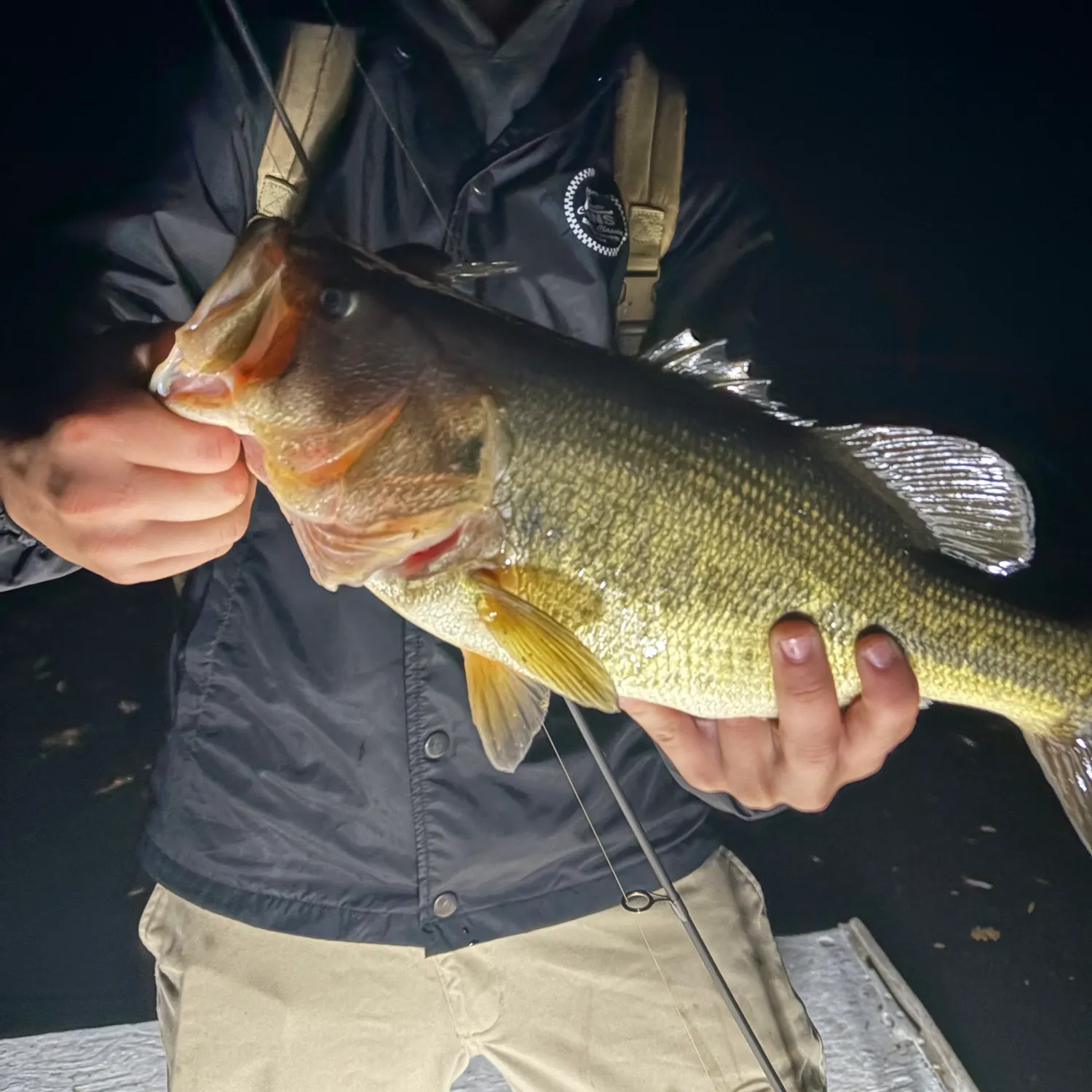 Largemouth bass caught on Fishbrain
