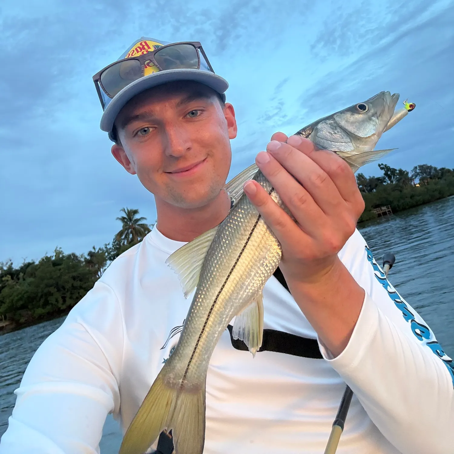 Common snook caught on Fishbrain