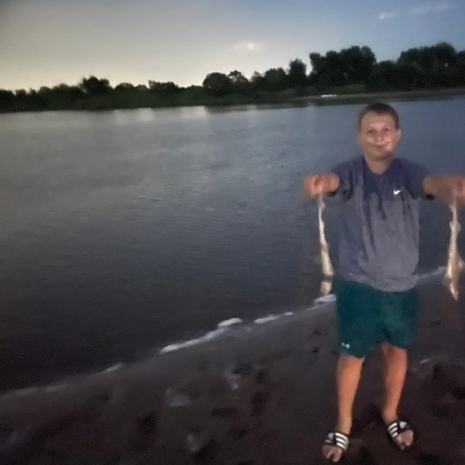 Pacific spiny dogfish caught on Fishbrain
