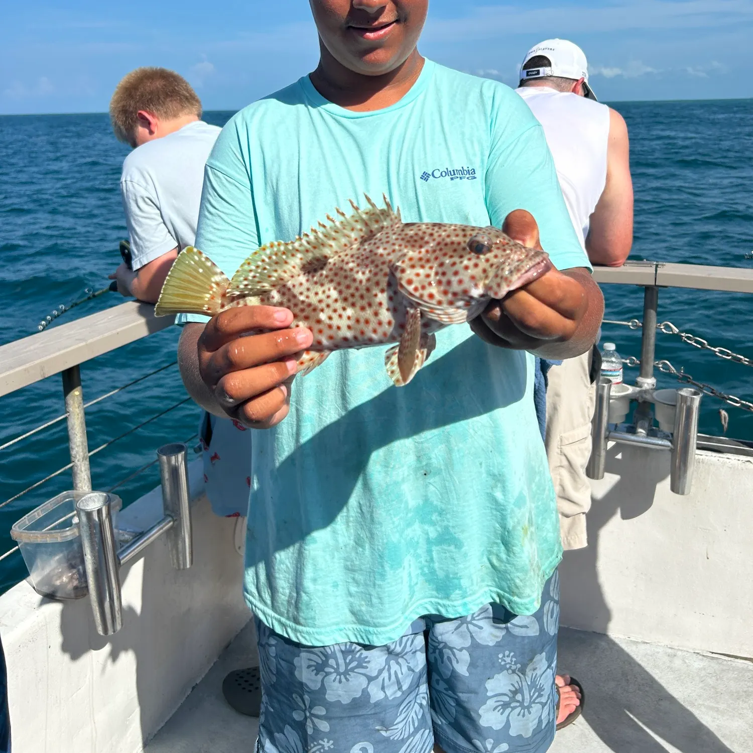 The most recent Rock hind catches on Fishbrain