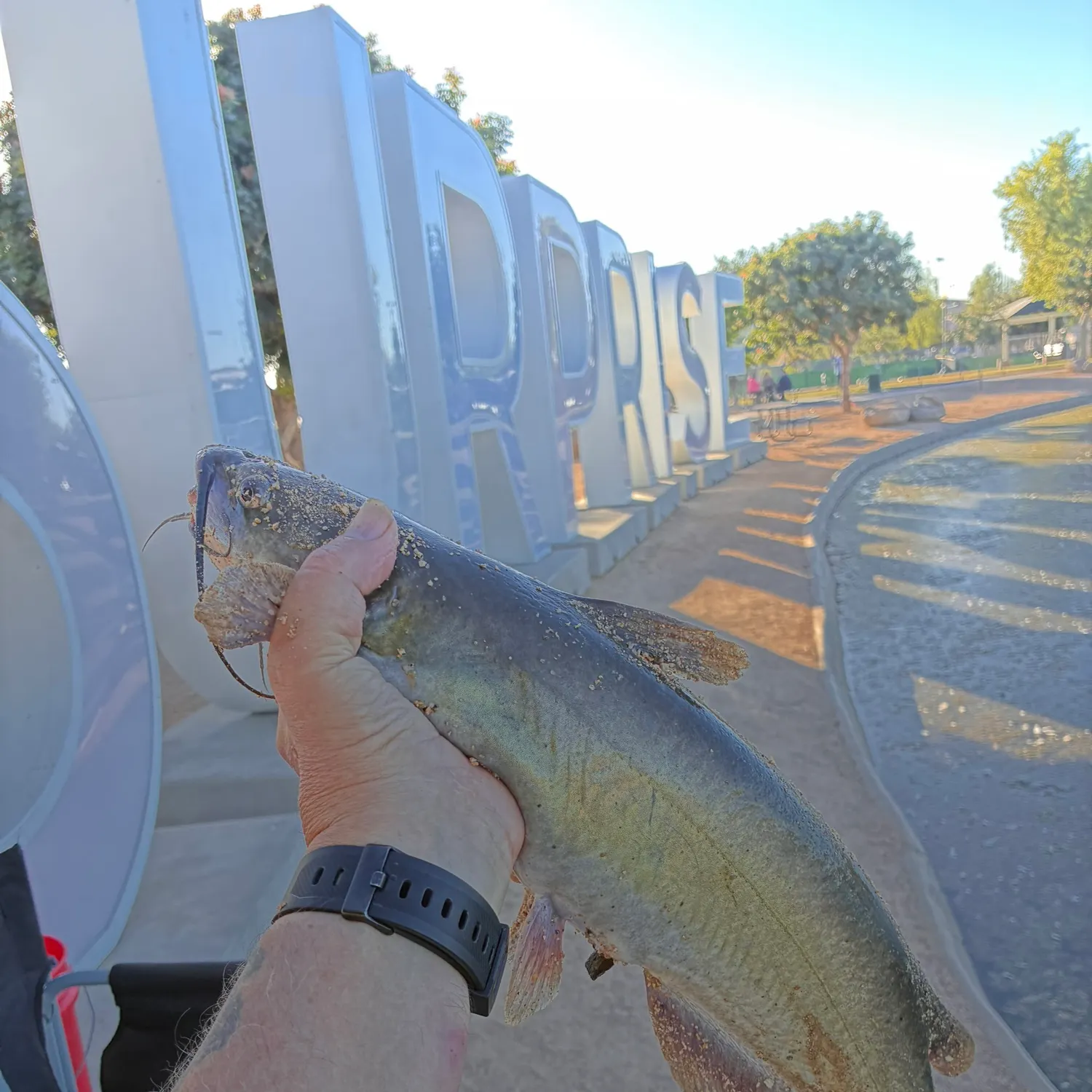 catch