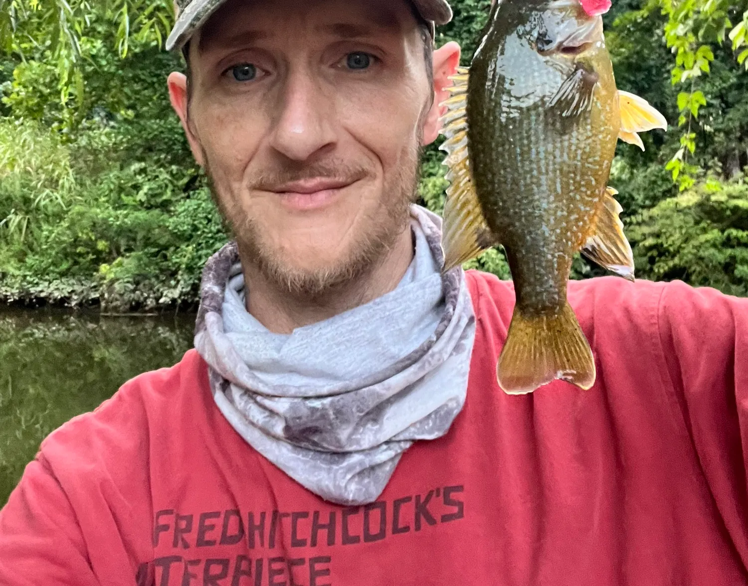 Green sunfish