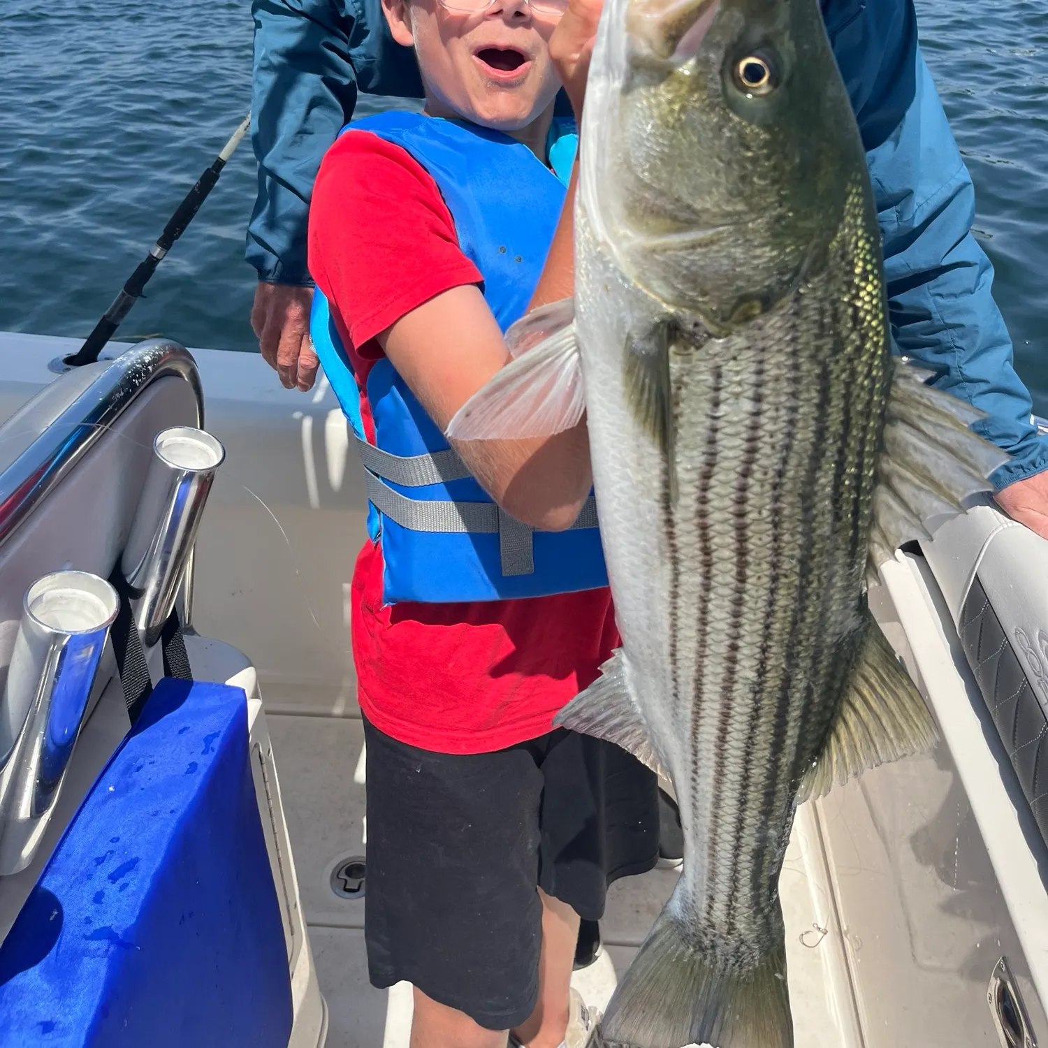 Striped bass caught on Fishbrain