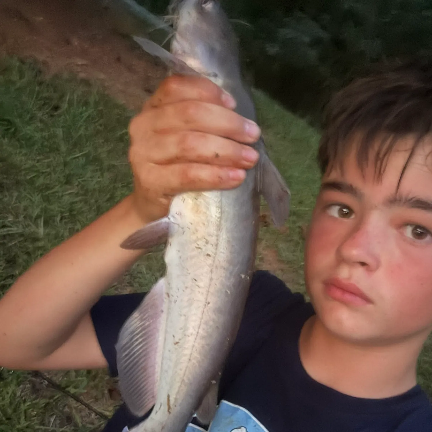 Fish caught on Fishbrain