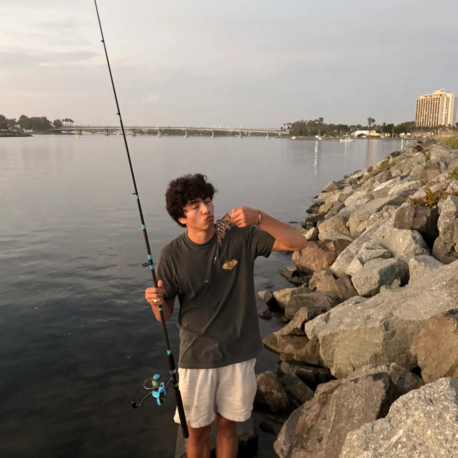 Kelp bass caught on Fishbrain