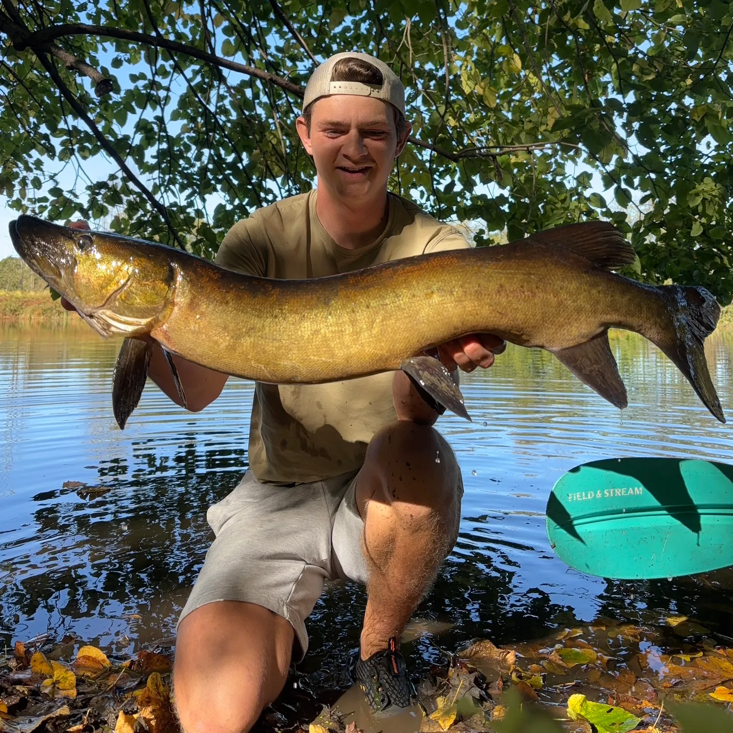 The most recent Muskie catches on Fishbrain