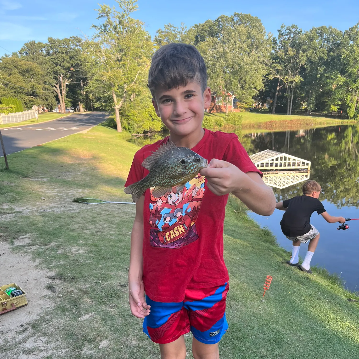 Orangespotted sunfish caught on Fishbrain