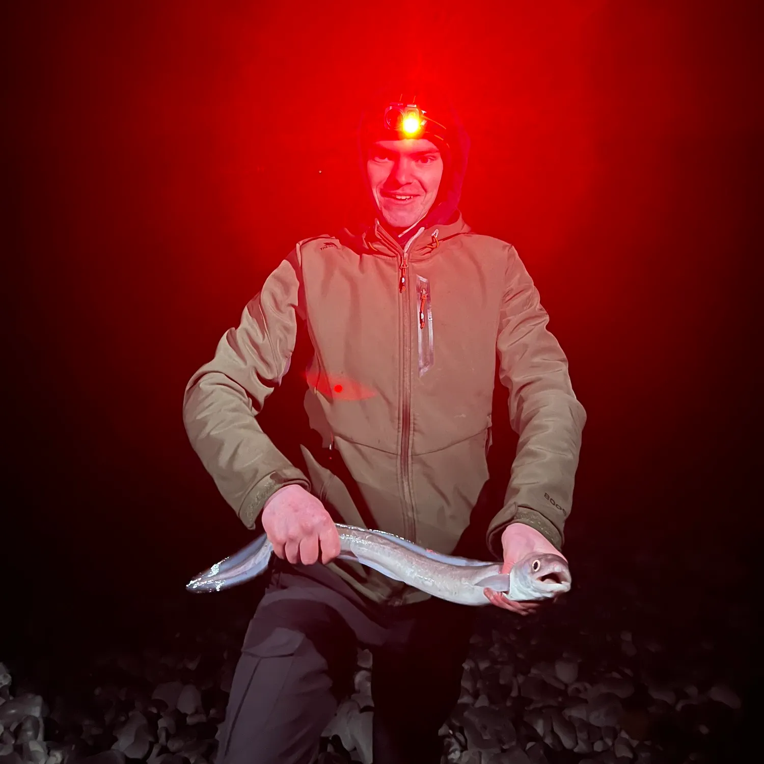 The most recent European conger catches on Fishbrain