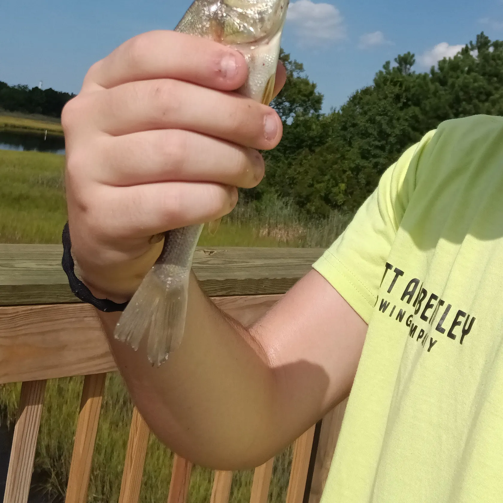 Atlantic croaker caught on Fishbrain