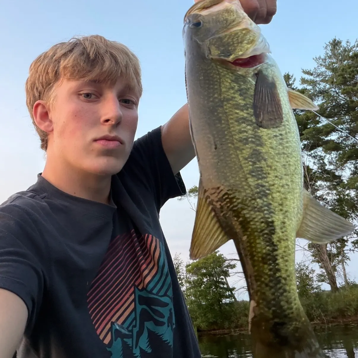 Largemouth bass caught on Fishbrain
